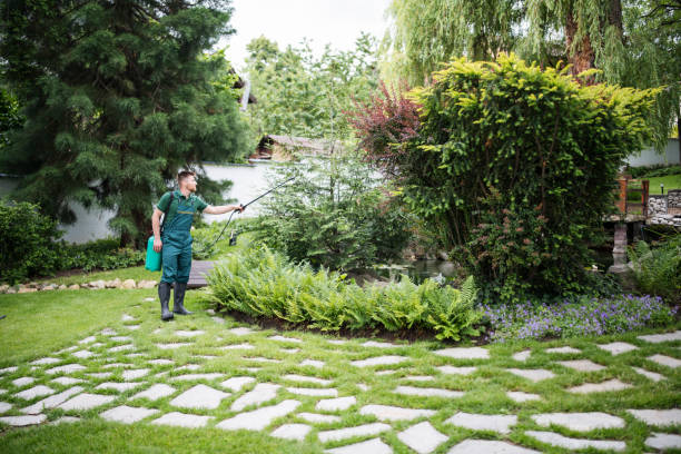 Professional Pest Control in Olmos Park, TX
