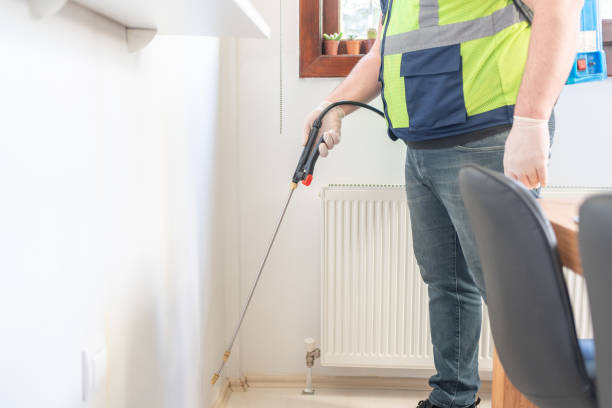 Flea Control Services in Olmos Park, TX