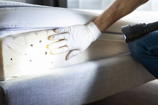 Best Pest Inspection Near Me  in Olmos Park, TX